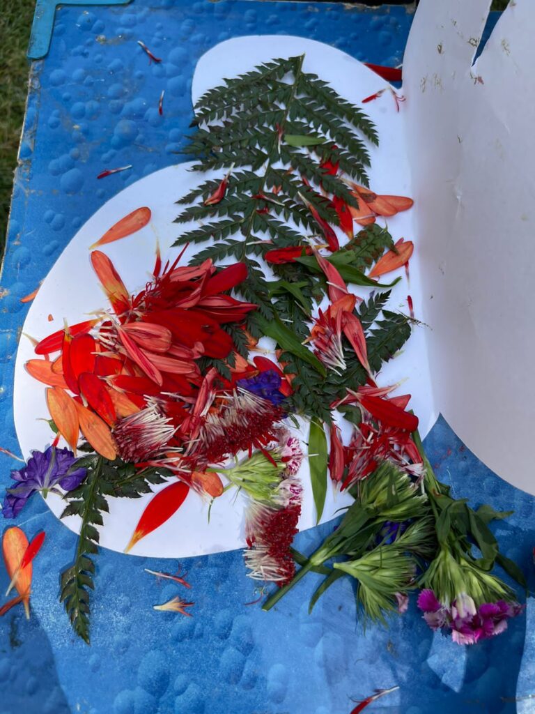 Holi Festival With Magic of Books